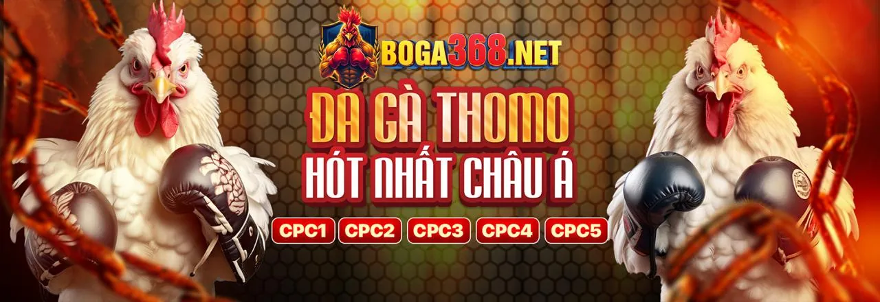 Tổng quan nền tảng xoso66 nổ hũ uy tín