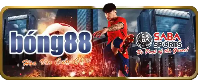 Chương trình VIP độc quyền cho cá cược thể thao